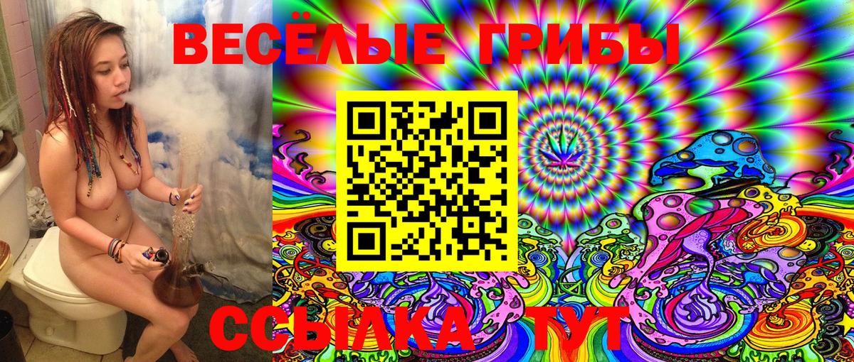 продажа наркотиков  Вход с VPN  Галлюциногенные грибы Magic Shrooms  Соликамск  Псилоцибиновые грибы мухоморы 